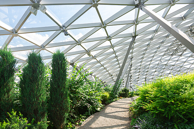 pebbles path under dome with glass roof, indoor garden with walkway and bushes lit by sunlight green plants, nobody.